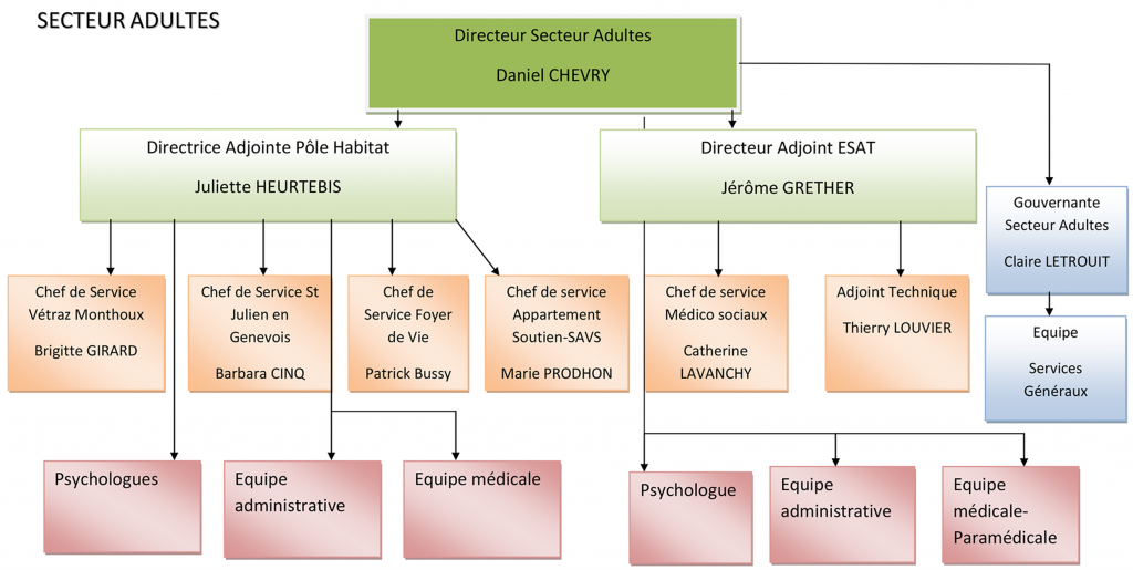 Organigramme secteur adultes 2014